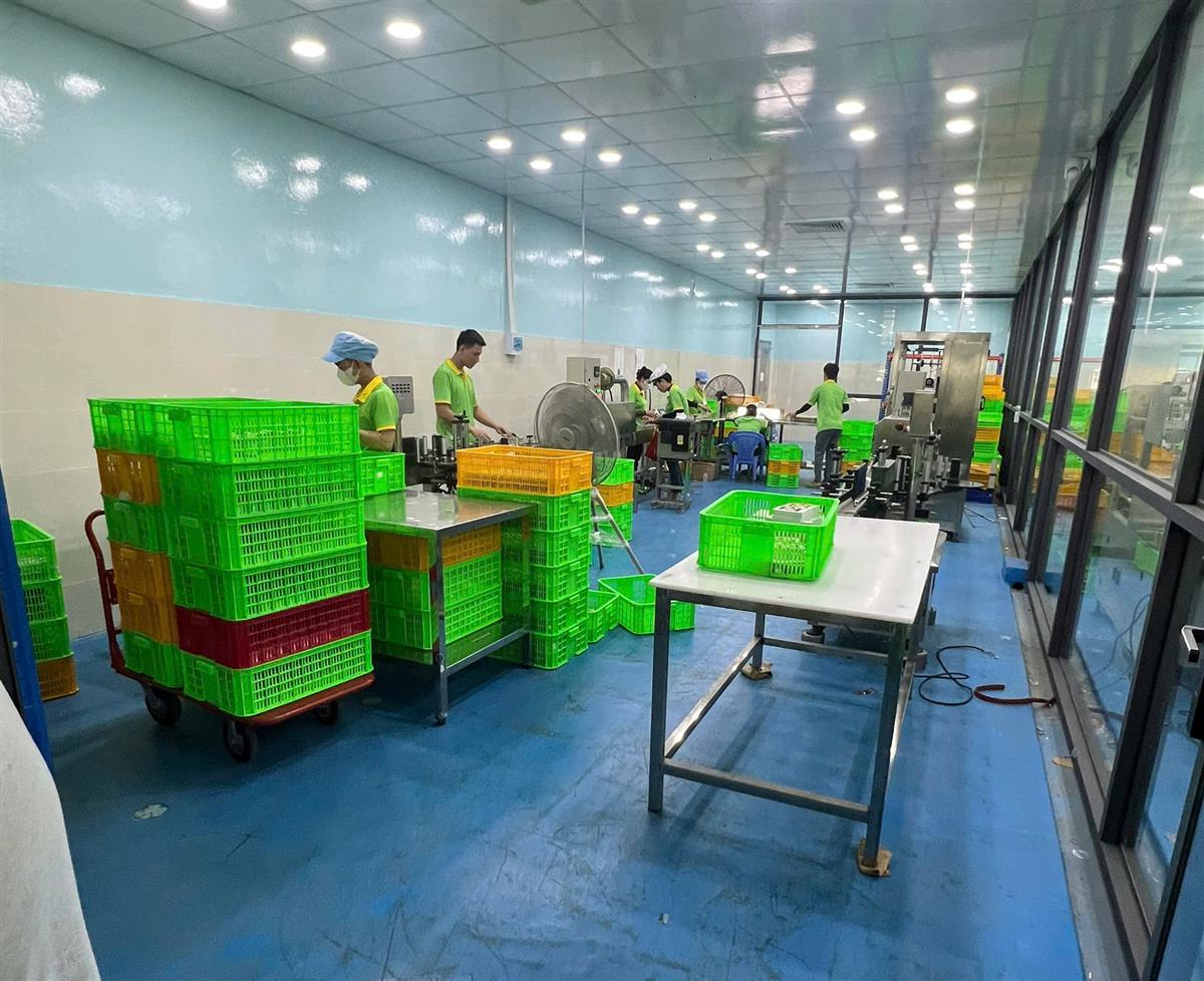 Khu vực chiết, in nhãn